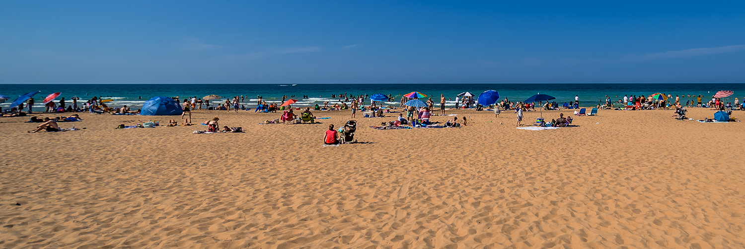 Banner image of Gary