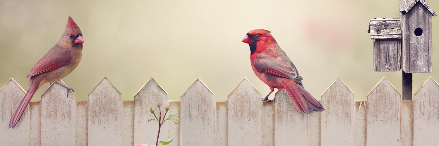 Banner image of La Porte