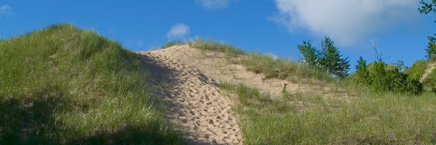 Banner image of Portage